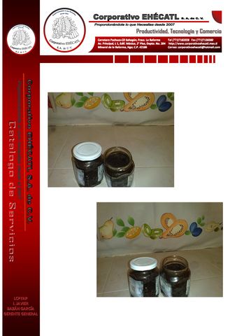 Mole Poblano